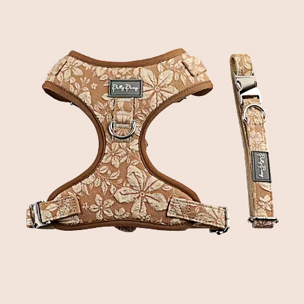 Harness