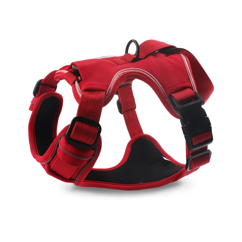Juego de arn&eacute;s con correa para perros LED PAIRUIPETS