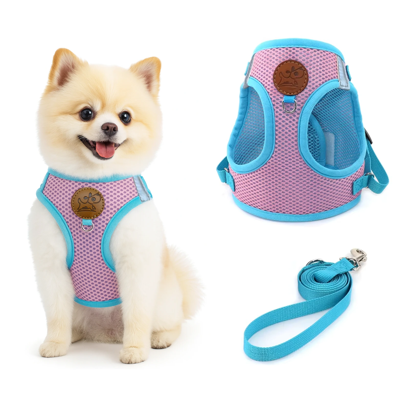 Small Dog Harness and Leash Set, Adjustable Step-in Dog Harness with Back Clip, image 6
