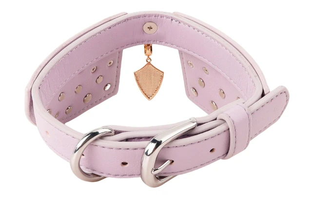 Elegant Decorative Tie Dog Collar