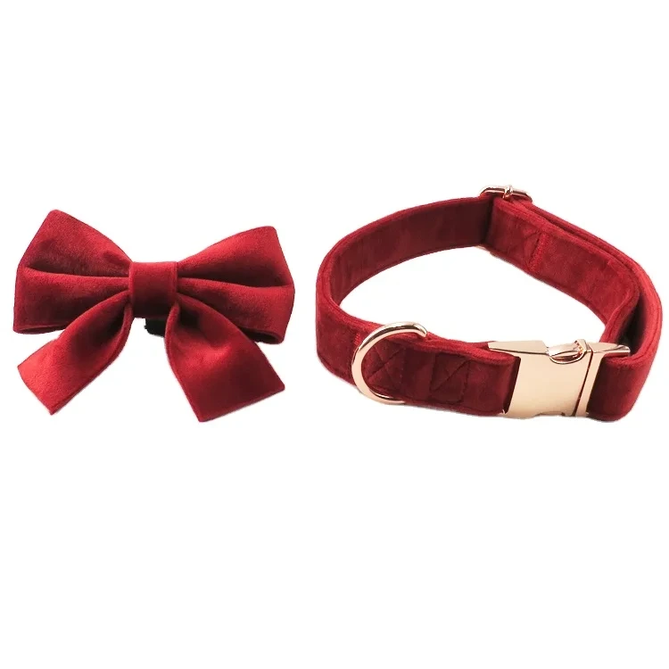 PAIRUIPETS Collier pour chien en velours doux pour animal de compagnie