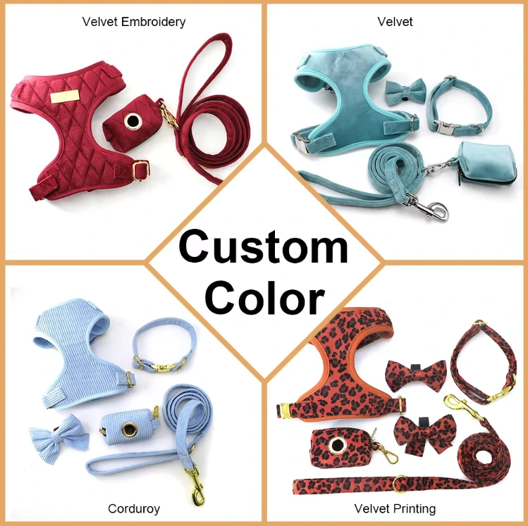 Exclusive Custom Velvet Dog Vest Collar Set, image 3