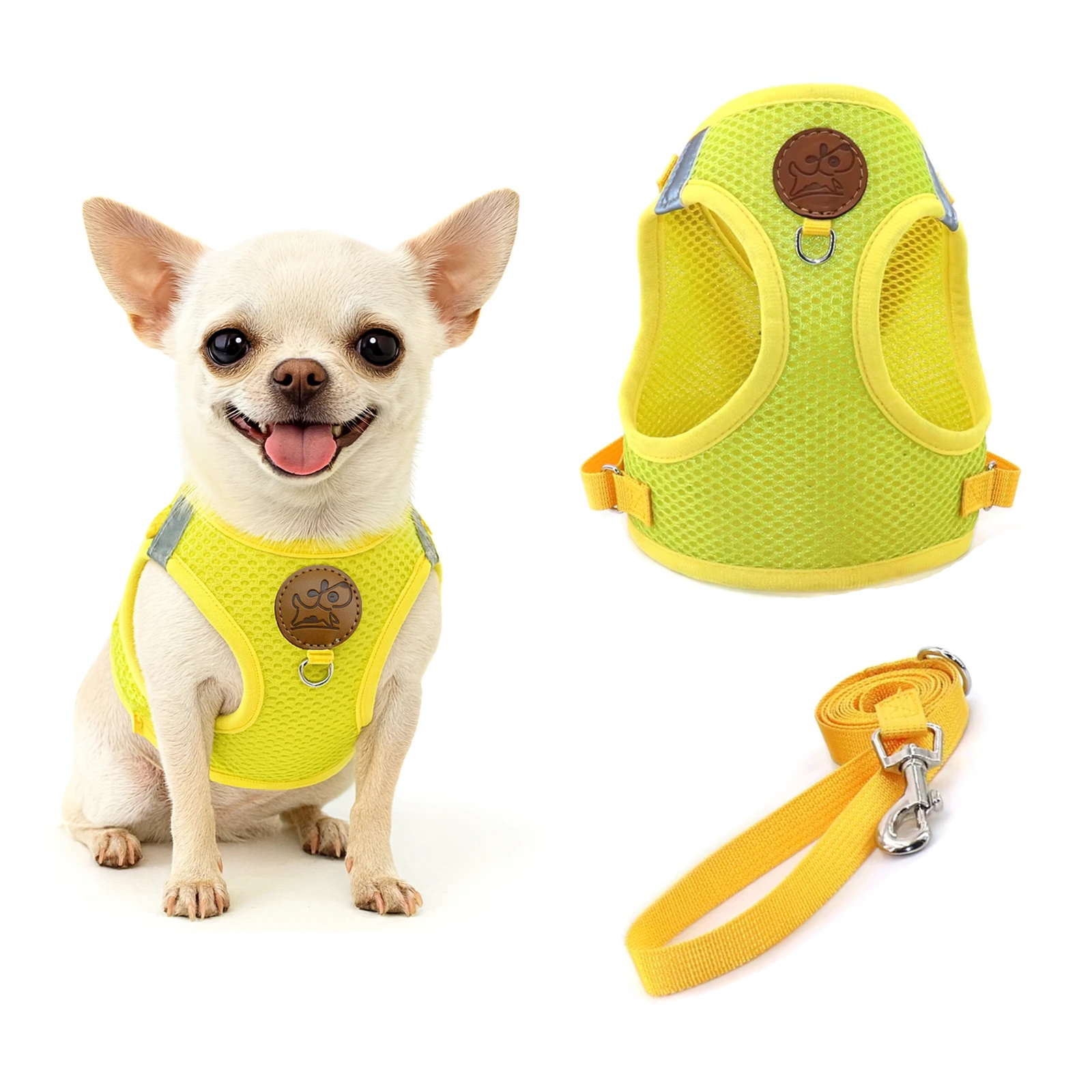 Small Dog Harness and Leash Set, Adjustable Step-in Dog Harness with Back Clip, image 4