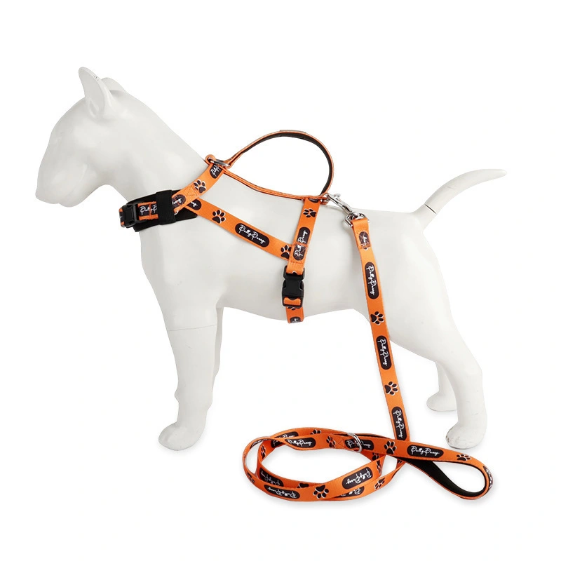 Dog Harness Leash Set, image 6