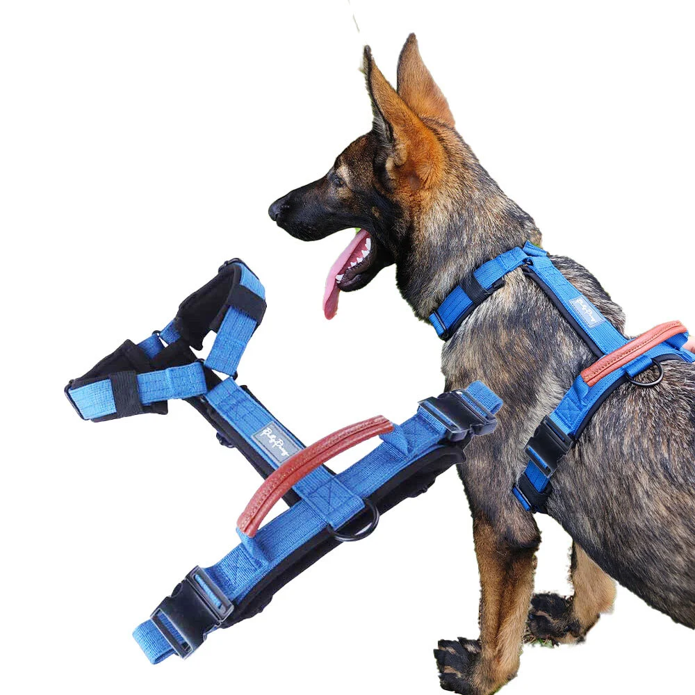PAIRUIPETS Gepolsterter Griff, Nylon-Hundehalsband und Leine, Lätzchen-Set, K9-Zubehör, taktisches Hundegeschirr, image 3