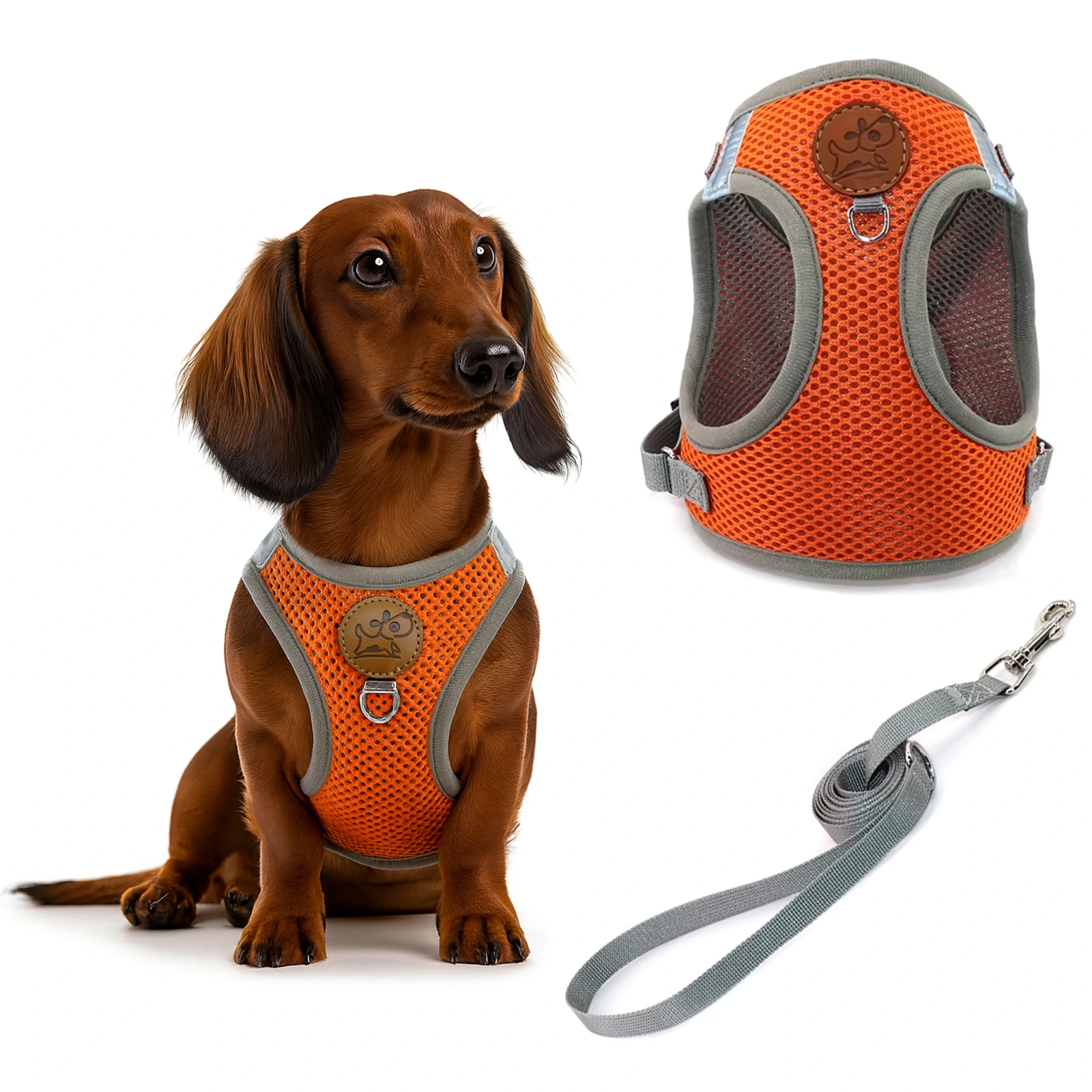 Small Dog Harness and Leash Set, Adjustable Step-in Dog Harness with Back Clip, image 5