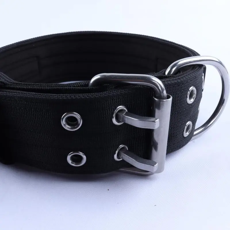 PAIRUIPETS Collier pour chien en silice &agrave; commande vocale LED avec tissu en nylon