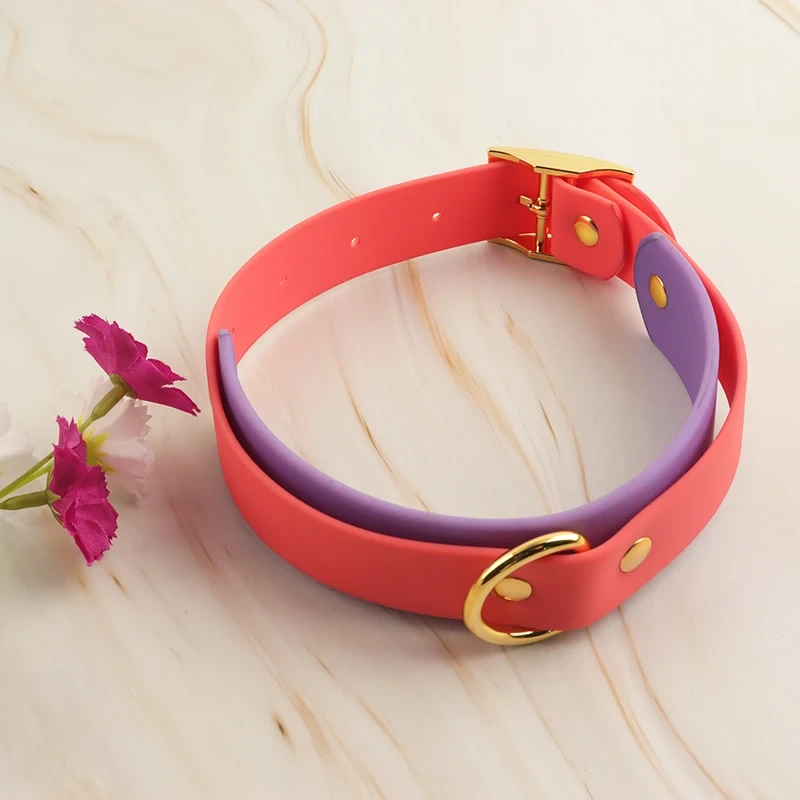 Collar de perro multicolor personalizado de encargo de las correas del Pvc de la nueva llegada 2024 del anillo doble del collar de perro de lujo, image 2