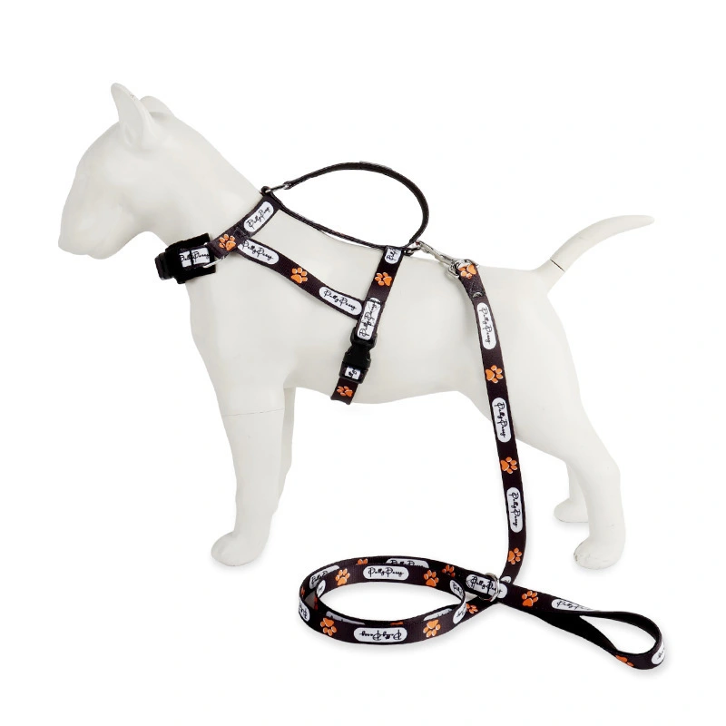 Dog Harness Leash Set, image 5