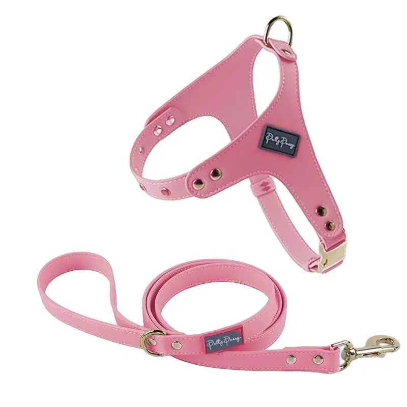 PAIRUIPETS 2024 Neues Premium-Hundegeschirr-Zubehör aus buntem Luxus-Diamantleder mit individuellem Logo und Metallbeschlägen, image 3