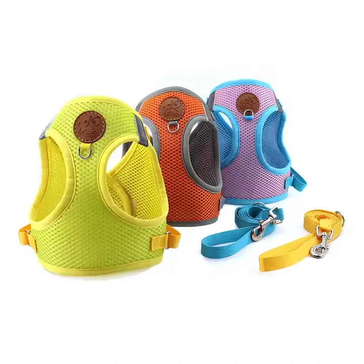 Small Dog Harness and Leash Set, Adjustable Step-in Dog Harness with Back Clip