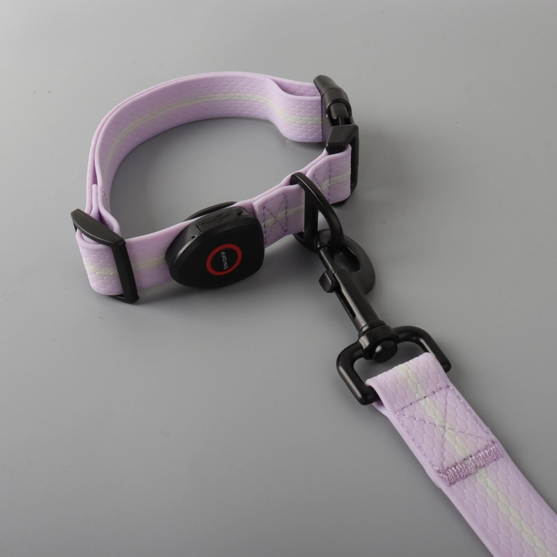 PAIRUIPETS Muker personnalis&eacute; &eacute;tanche clignotant &eacute;clairer r&eacute;fl&eacute;chissant animal de compagnie r&eacute;glable USB type-c Recharge luxe Led collier lumineux pour chien