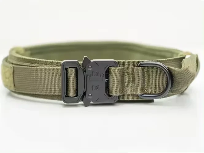 PAIRUIPETS colliers tactiques r&eacute;glables pour chiens, collier robuste pour animaux de compagnie pour grands chiens