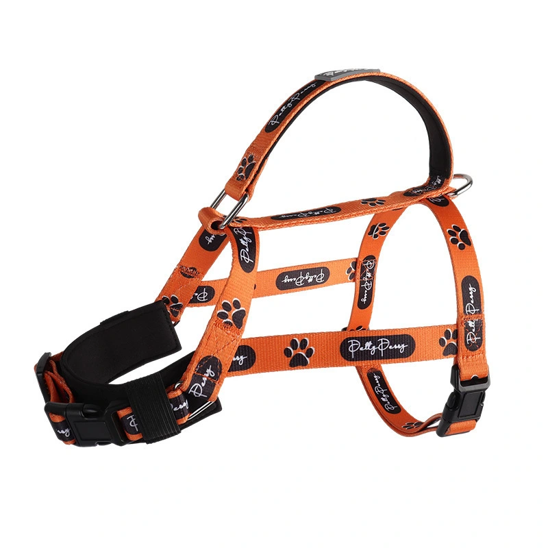 Dog Harness Leash Set, image 4