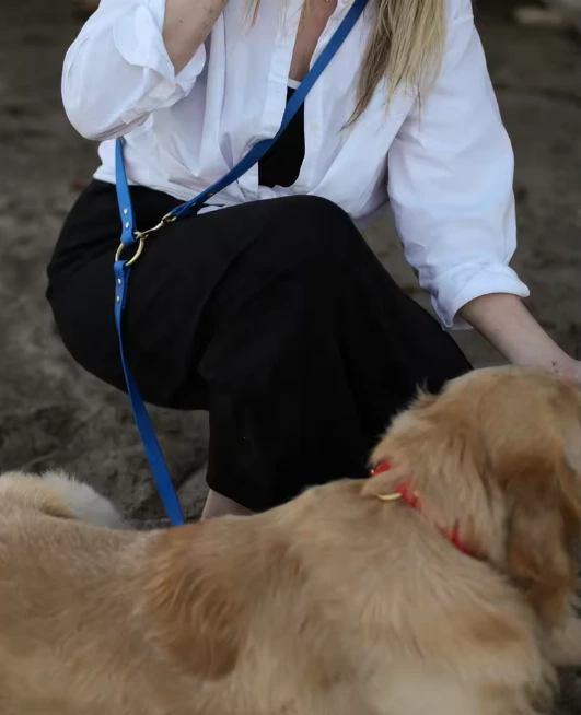 Custom Luxury PVC Dog Leash, image 2