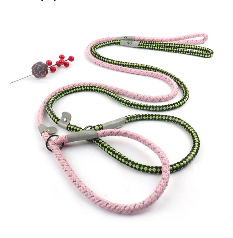 PAIRUIPETS Heavy Duty Reflective Soft Padded Nylon No Pull Pet Cat Dog Training Lead Rope Leash For Dog 2